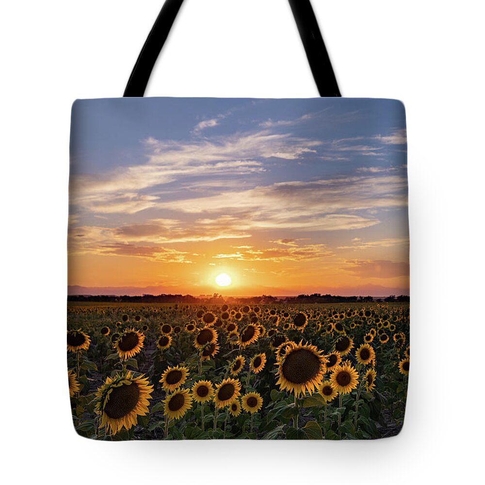 Sunset Tote Bag featuring the photograph Colorado Sunflower Field at Sunset by Phillip Rubino