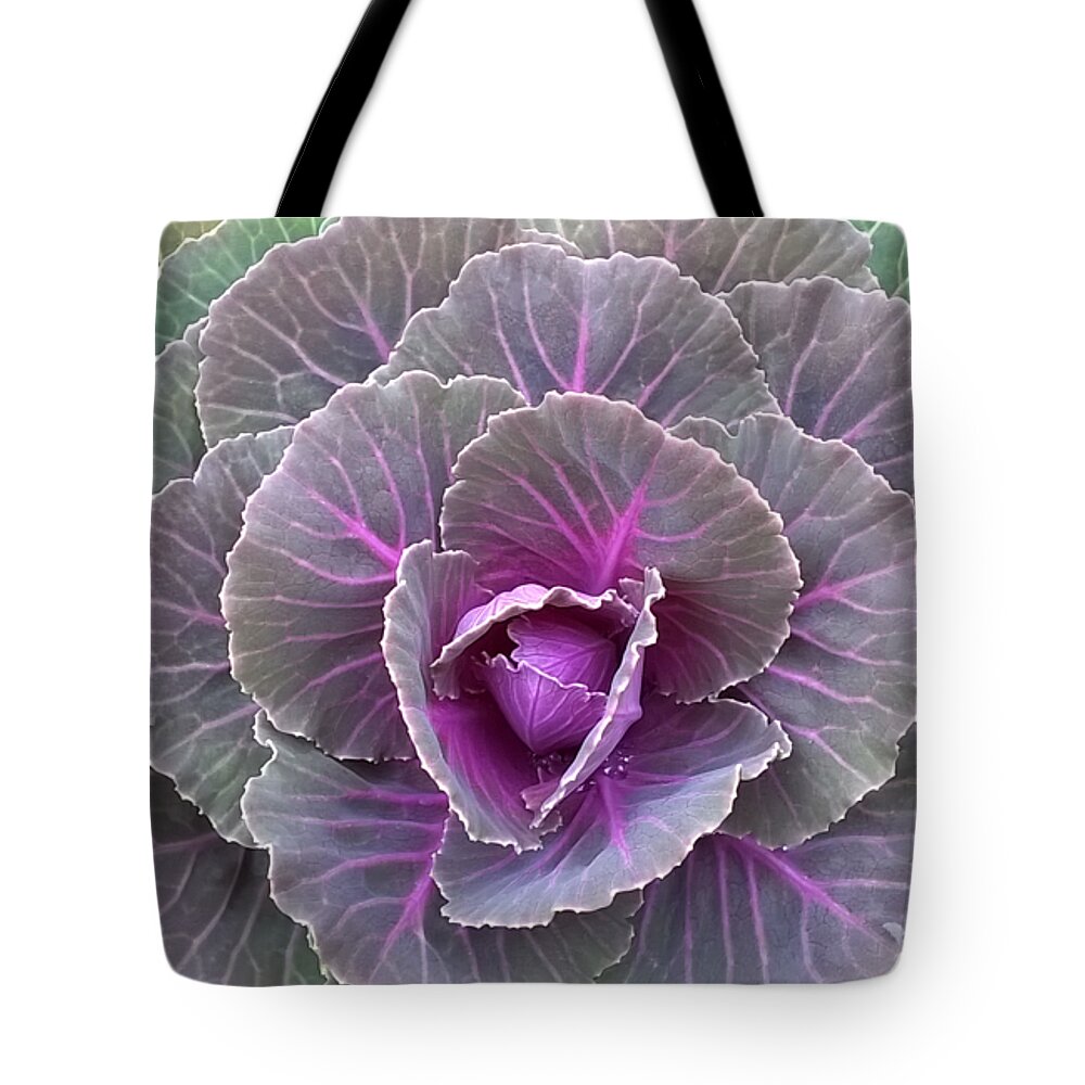 Duane Mccullough Tote Bag featuring the photograph Colorful Cabbage Clear by Duane McCullough