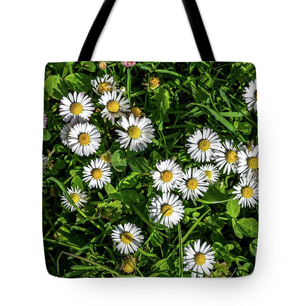 Background Tote Bag featuring the photograph Colorful Flower Meadow With Blossoms of Dandelion And Daisies by Andreas Berthold