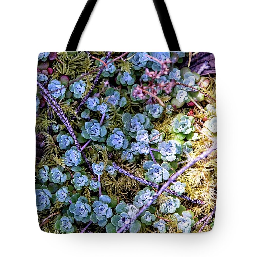 Background Tote Bag featuring the photograph Colorful Forest Floor by David Desautel