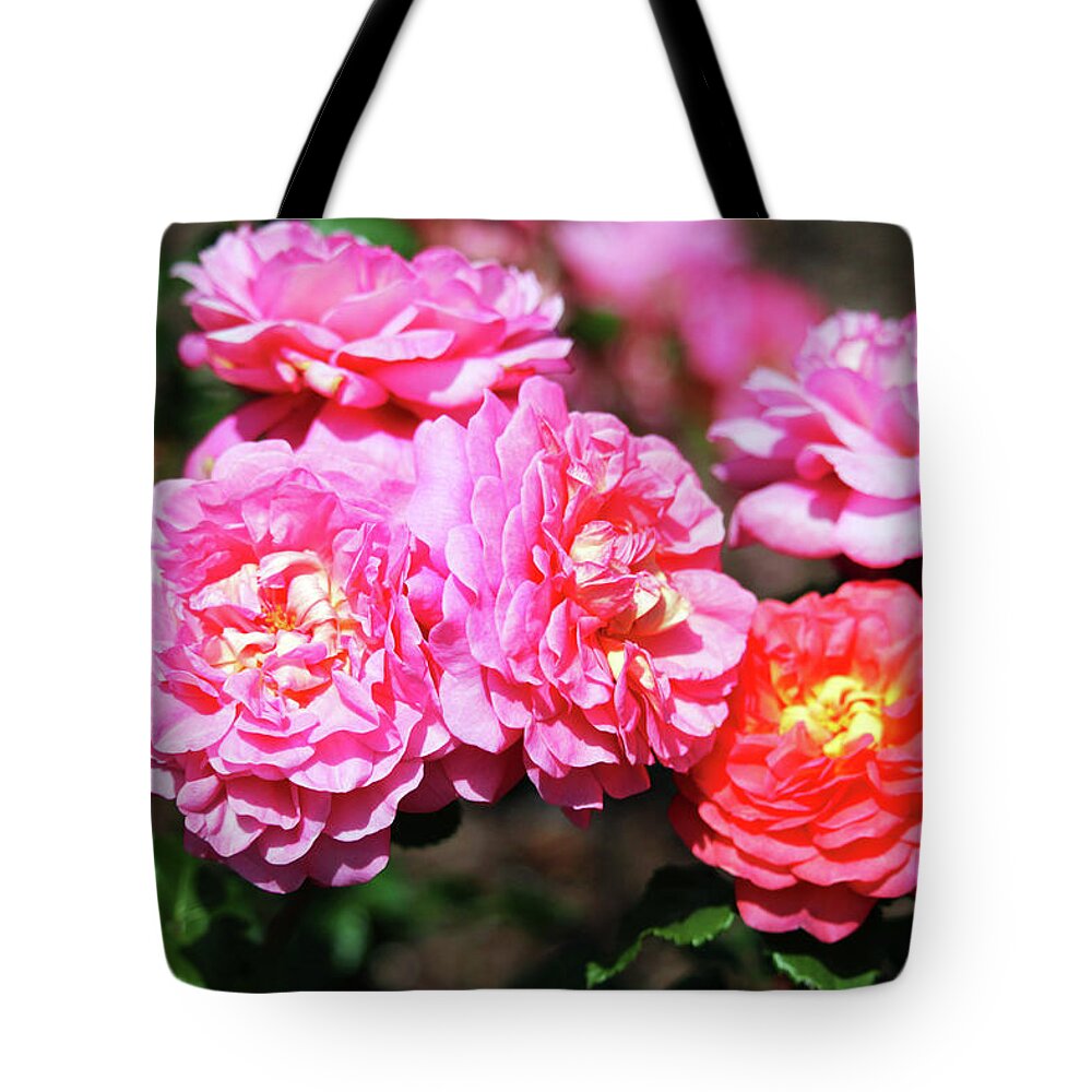 Flower Tote Bag featuring the photograph Colorful Roses by Cynthia Guinn