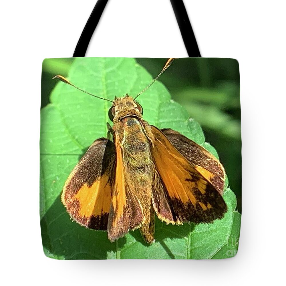 Skipper Tote Bag featuring the photograph Colorful Skipper by Catherine Wilson
