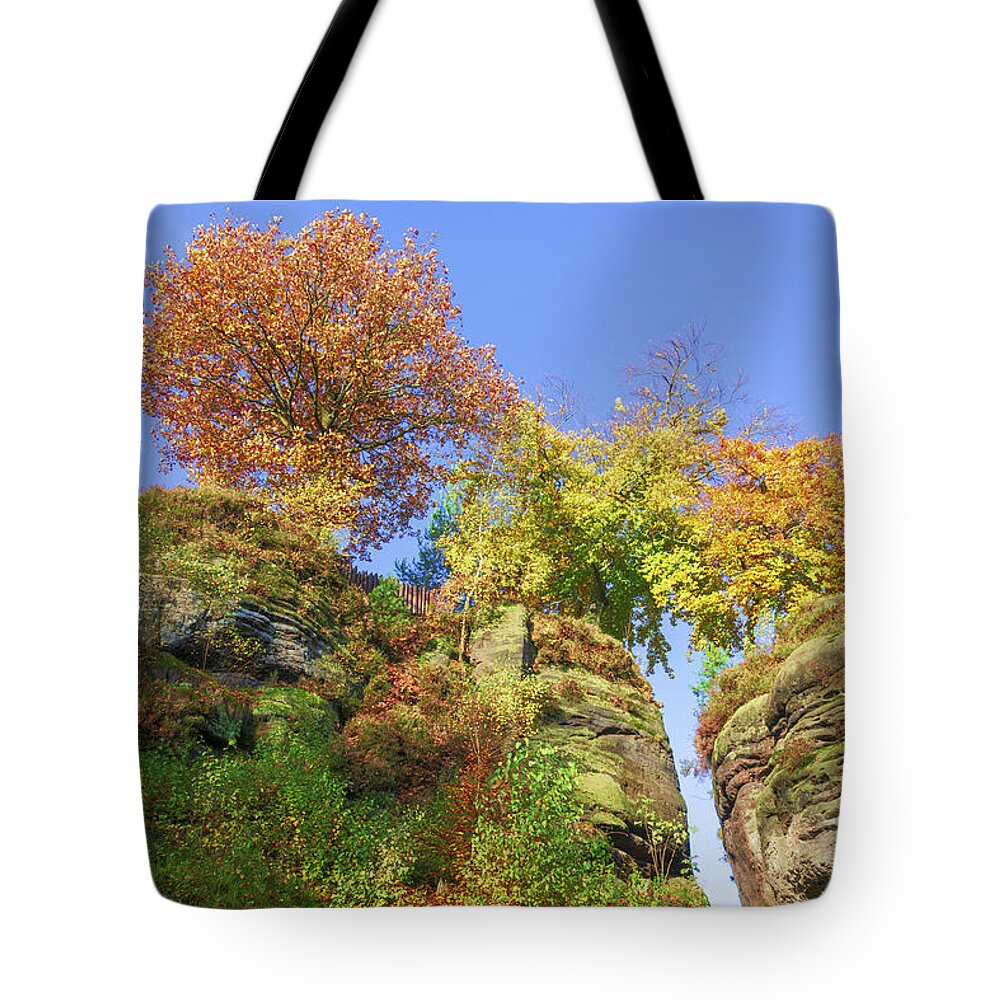Saxon Switzerland Tote Bag featuring the photograph Colorful trees in the Elbe Sandstone Mountains by Sun Travels