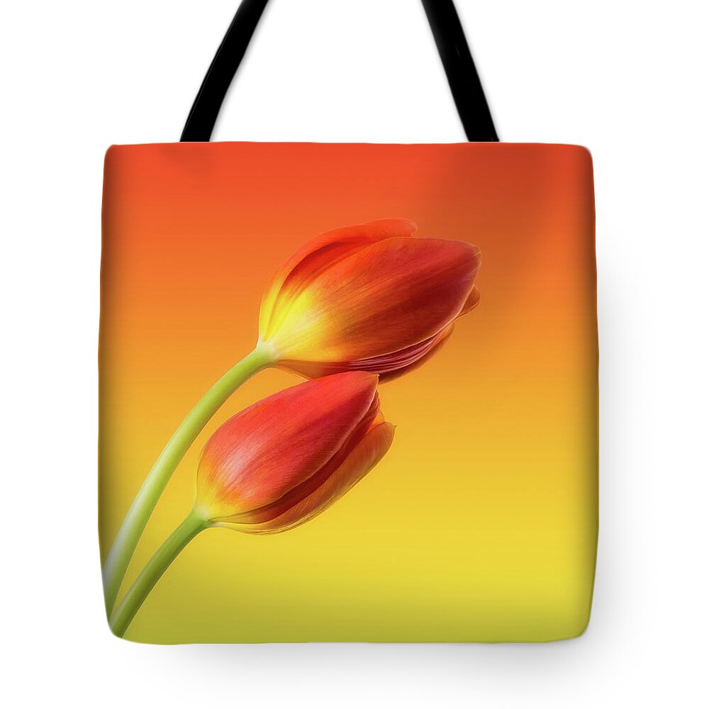 #faatoppicks Tote Bag featuring the photograph Colorful Tulips by Wim Lanclus