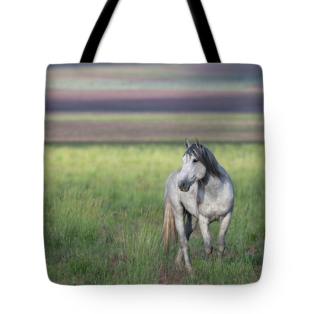 Wild Horse Tote Bag featuring the photograph Colors by Mary Hone