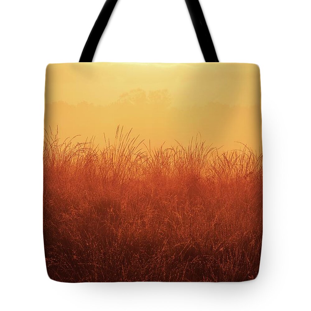 National Tote Bag featuring the photograph Colors of Maasduinen 5 by Jaroslav Buna