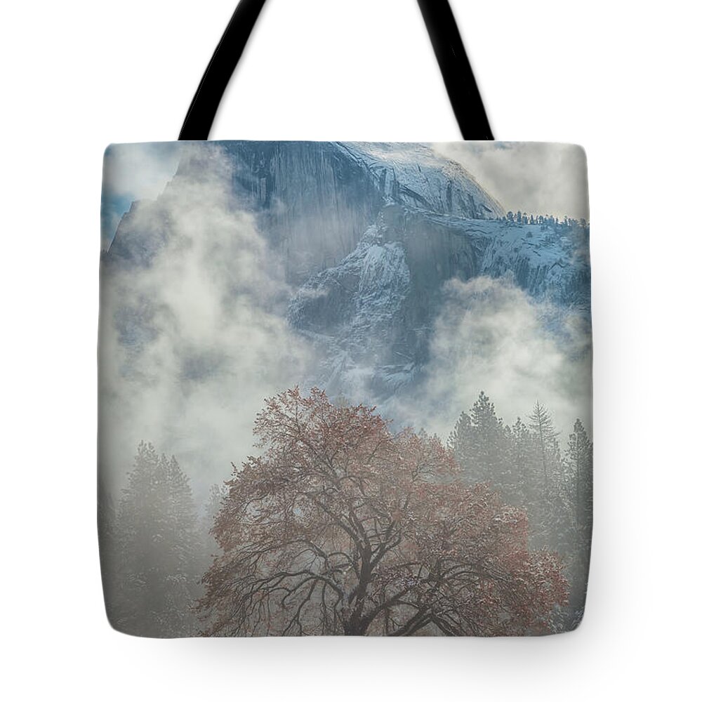 Landscape Tote Bag featuring the photograph Colors Of The Winter 4 by Jonathan Nguyen