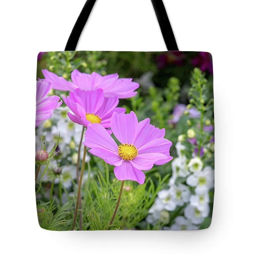 Cosmos Tote Bag featuring the photograph Colourful Cosmos by Tim Gainey