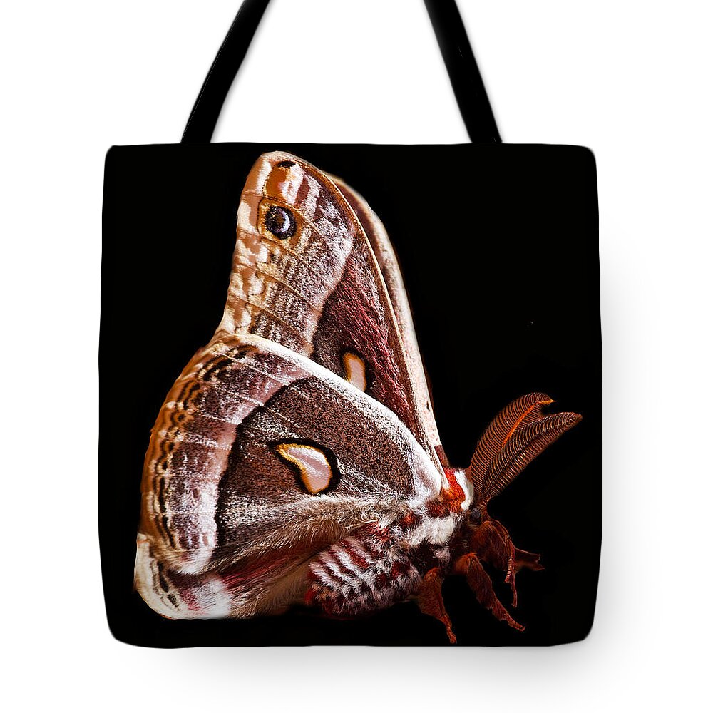 Nature Tote Bag featuring the photograph Columbia Silkmoth, Mono Lake, CA by Stephanie Salter