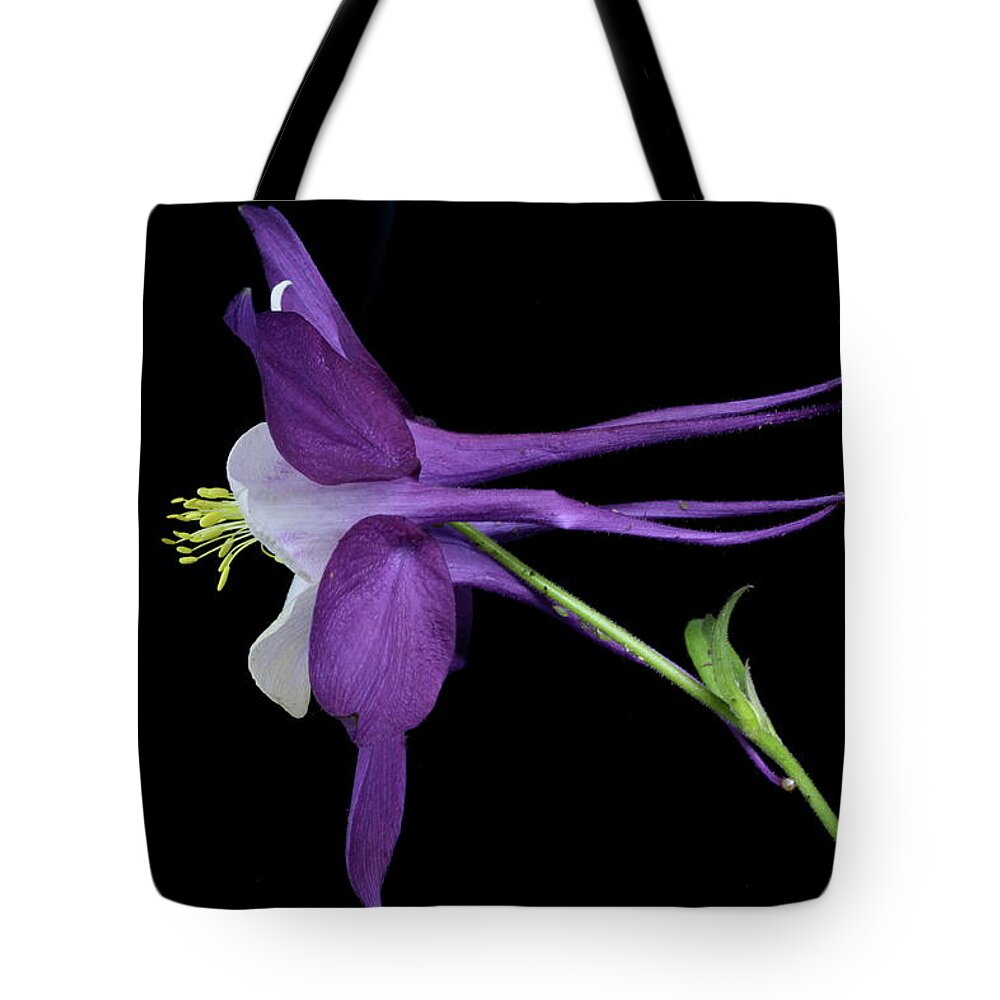 Macro Tote Bag featuring the photograph Columbine 781 by Julie Powell