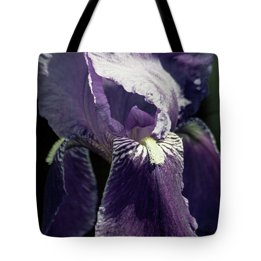 Arizona Tote Bag featuring the photograph Come On In by Kathy McClure