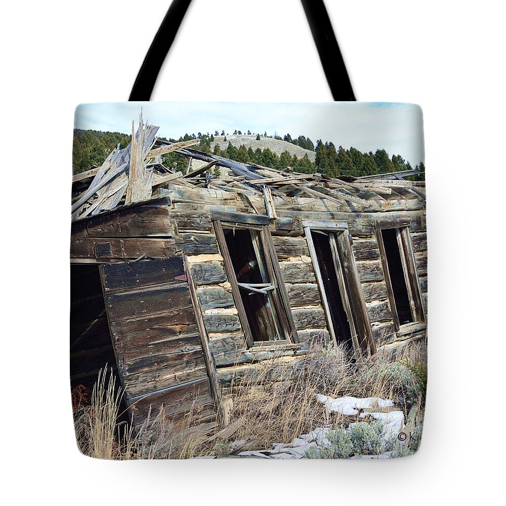 Old Buildings Tote Bag featuring the photograph Comet Derelict Housing by Kae Cheatham