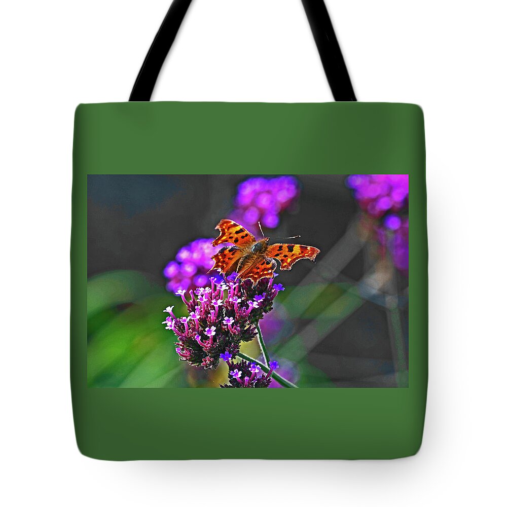 Comma butterfly on a Verbena Bonariensis Tote Bag for Sale by Derek Harris