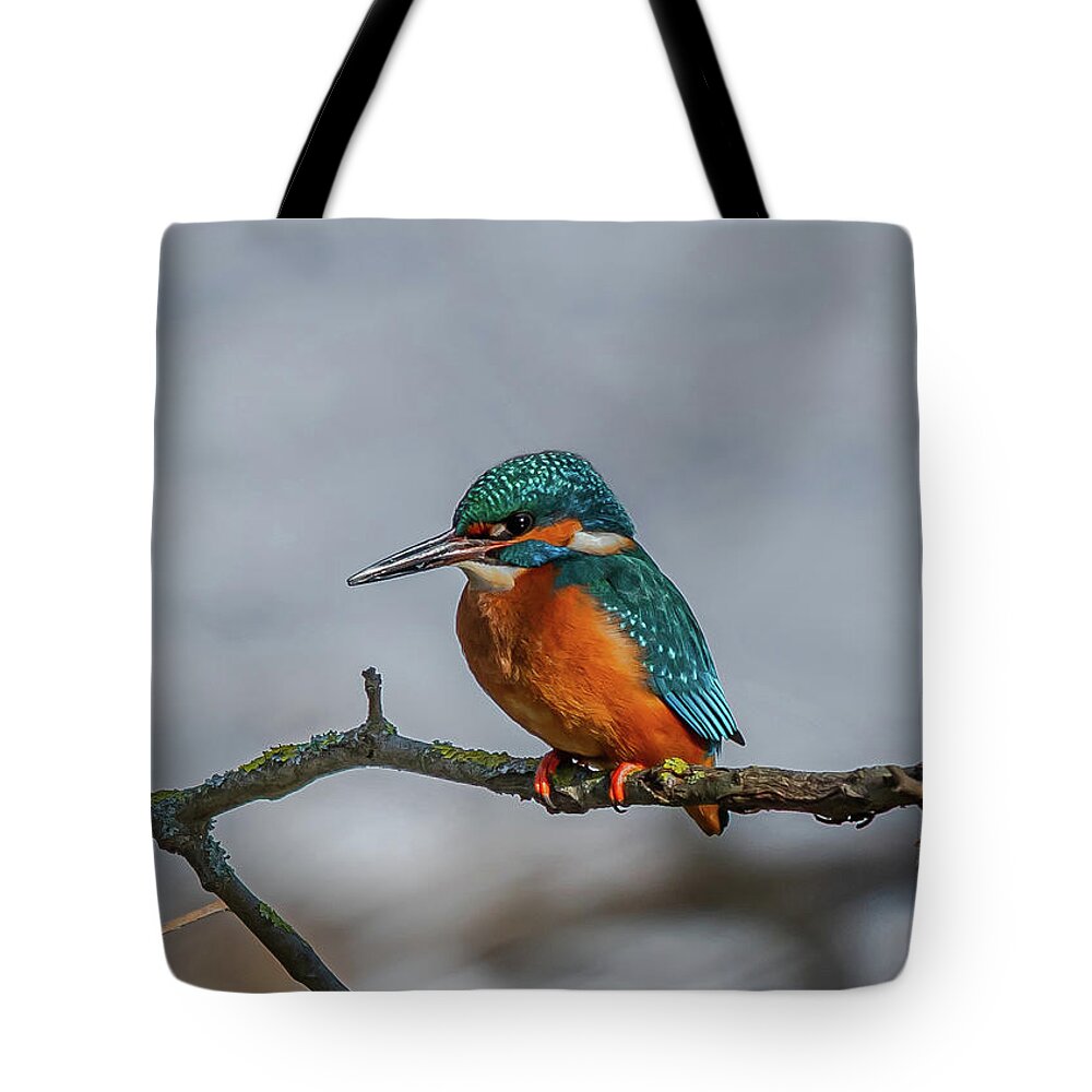 Kingfisher Tote Bag featuring the photograph Common Kingfisher, Acedo Atthis, Sits On Tree Branch Watching For Fish by Andreas Berthold
