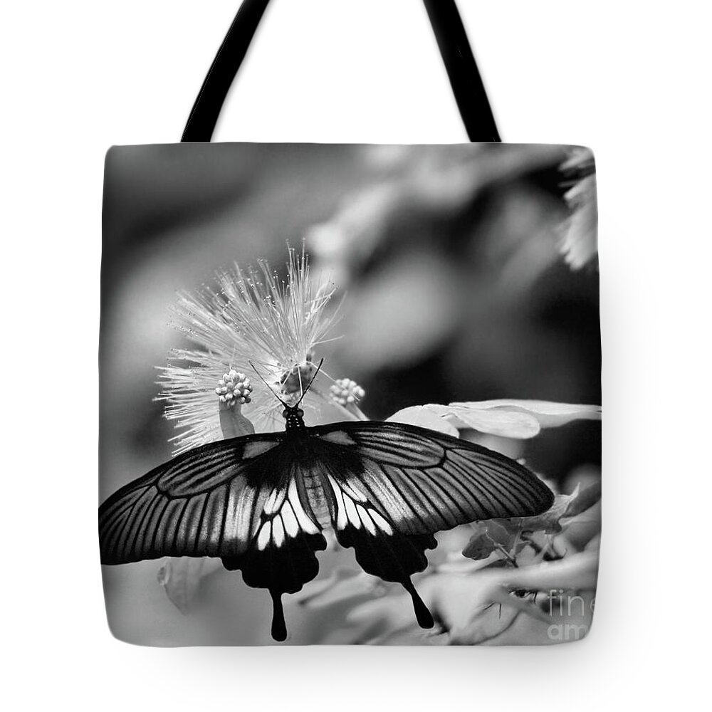 Papilio Polytes Tote Bag featuring the photograph Common Mormon Butterfly in Black and White by Sandra Huston