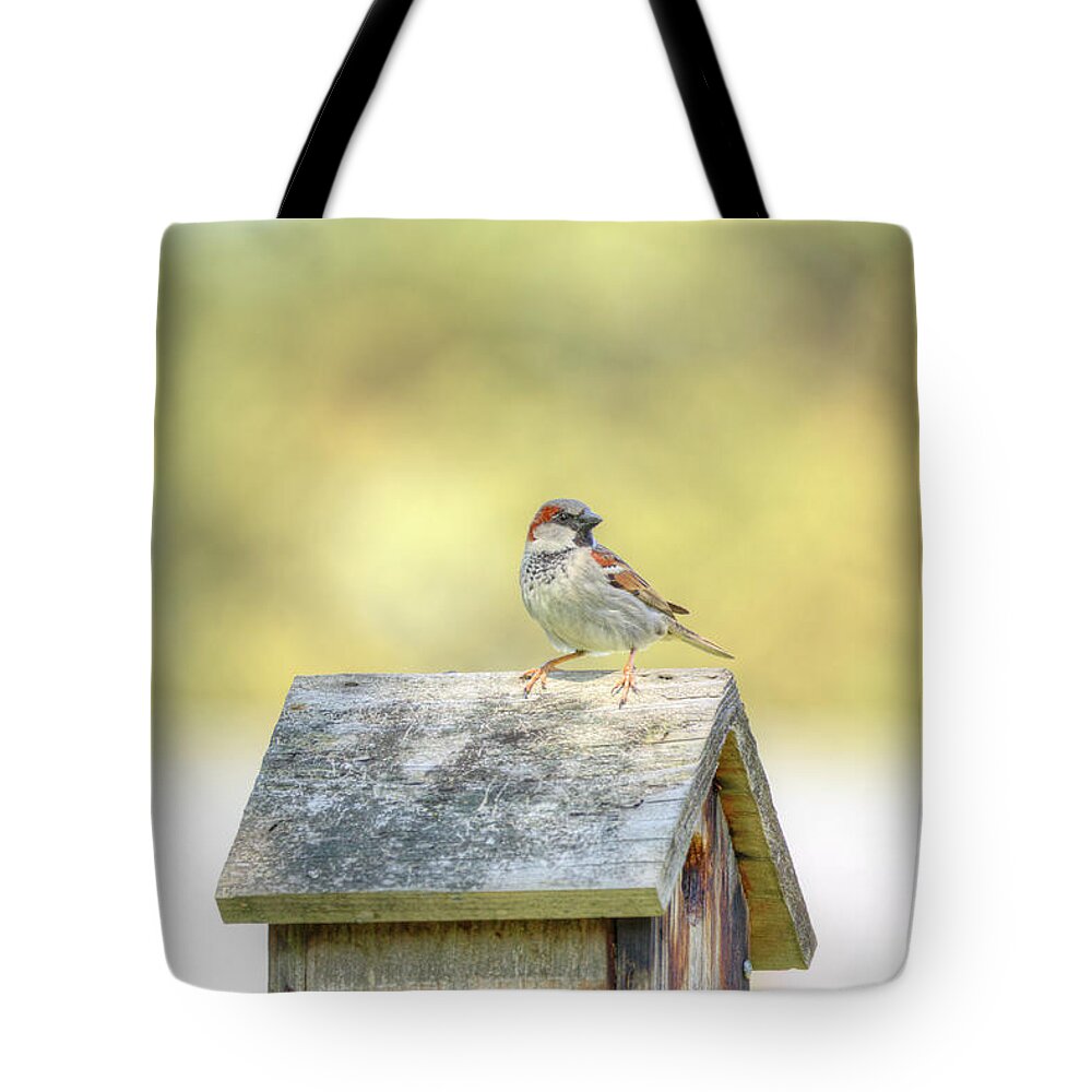 Bird Tote Bag featuring the photograph Common Sparrow by Loyd Towe Photography