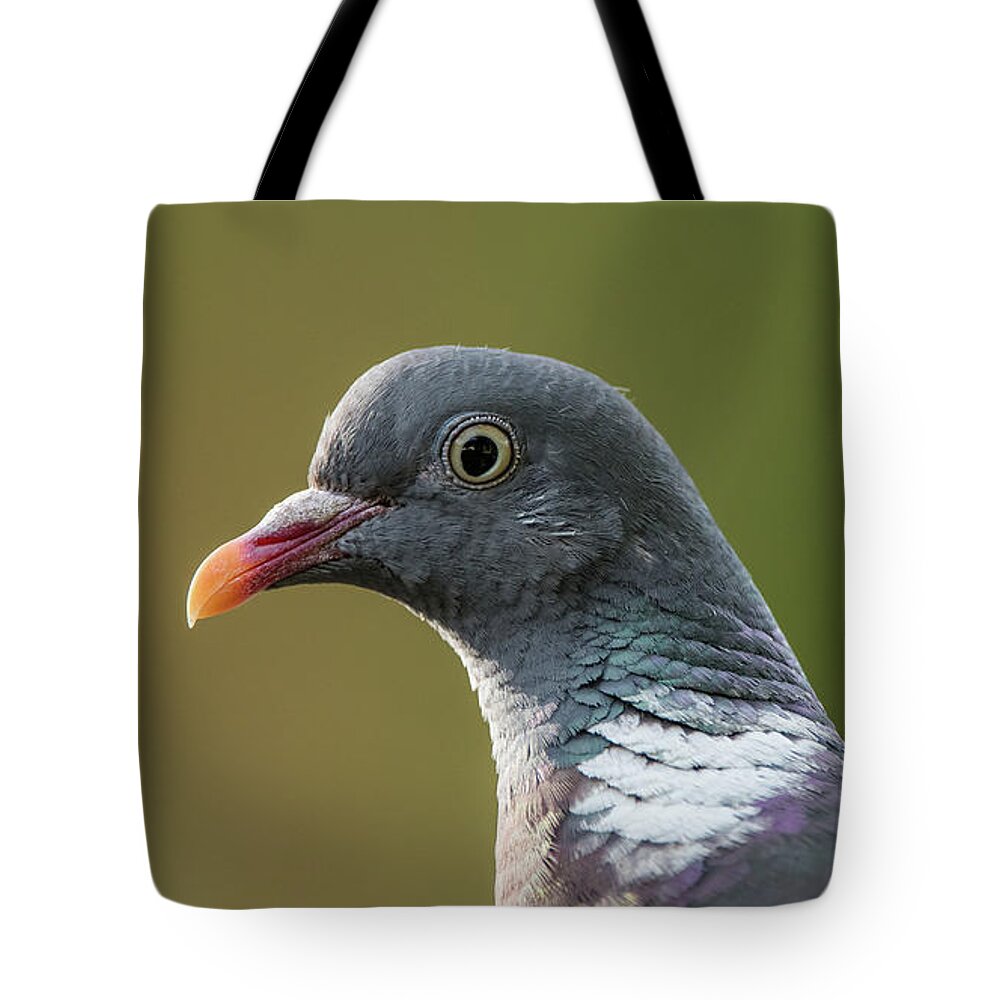 Common Wood Pigeon Tote Bag featuring the photograph Common Wood Pigeon s portrait by Torbjorn Swenelius