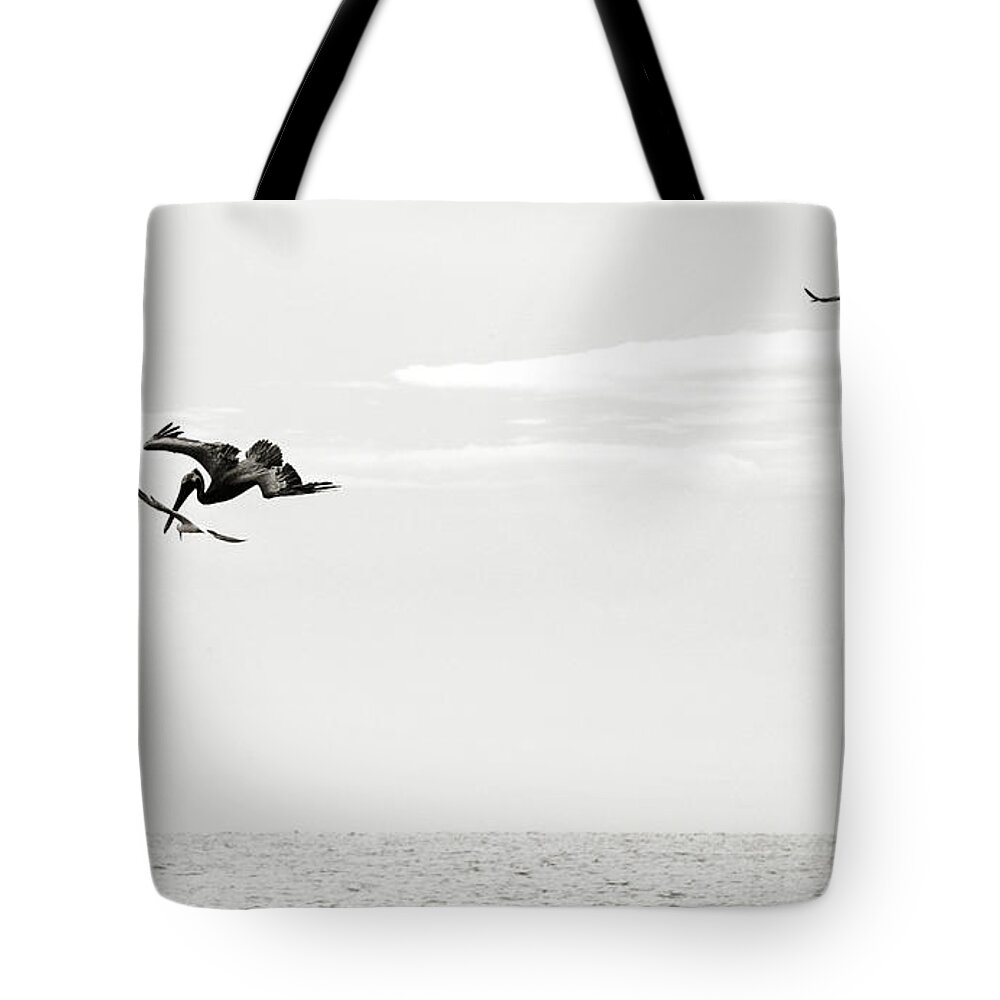Competition Tote Bag featuring the photograph Competition for Food by Marilyn Hunt