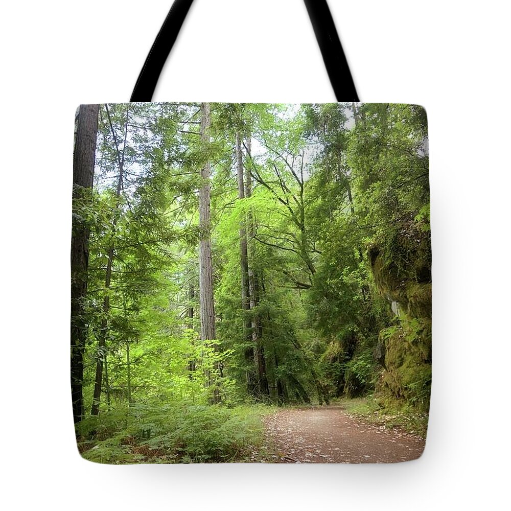 Concrete Pipe Fireroad Tote Bag featuring the photograph Concrete Pipe Fireroad by John Parulis