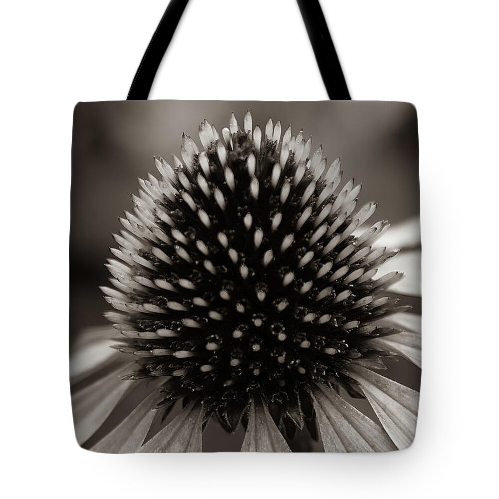 Flower Tote Bag featuring the photograph Cone Black and White - 1 by John Kirkland