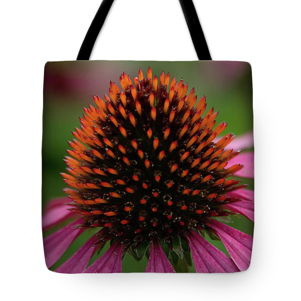 Flower Tote Bag featuring the photograph Cone Of Color by John Kirkland
