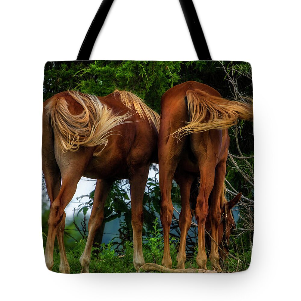 Horse Tote Bag featuring the photograph Conference Call by Shelia Hunt