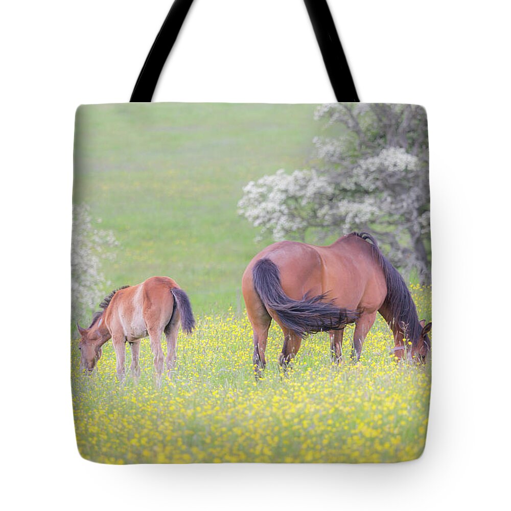 Horses Tote Bag featuring the photograph Contentment - Mare and Foal in a meadow by Anita Nicholson