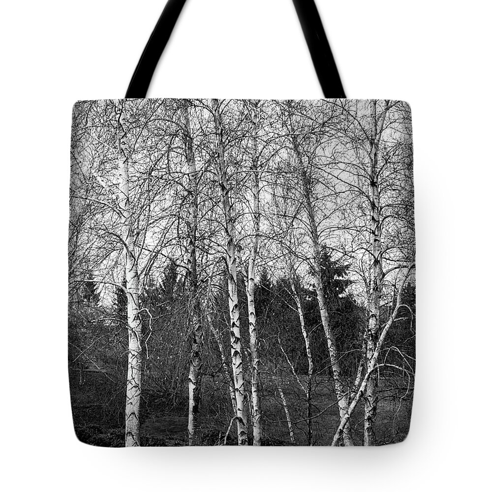 Black And White Tote Bag featuring the photograph Contrast by Kim Sowa