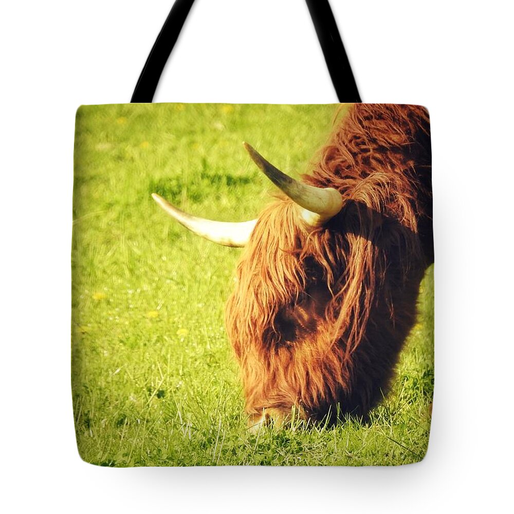 Coo Tote Bag featuring the photograph Coo by Dark Whimsy