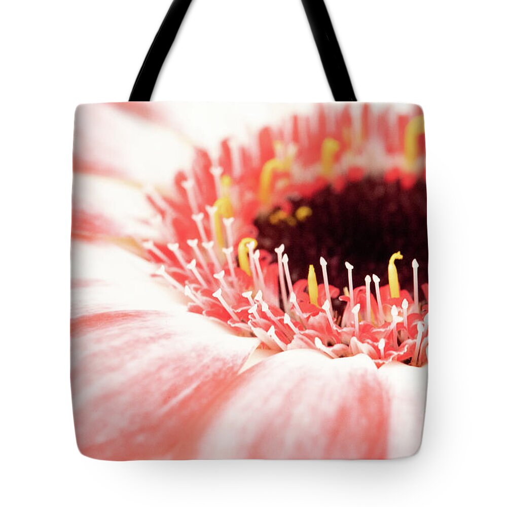 Abstracts Tote Bag featuring the photograph Coral Circle by Marilyn Cornwell