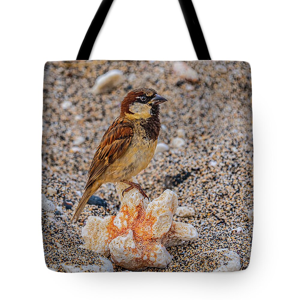 Hawaii Tote Bag featuring the photograph Coral Rest Area by John Bauer