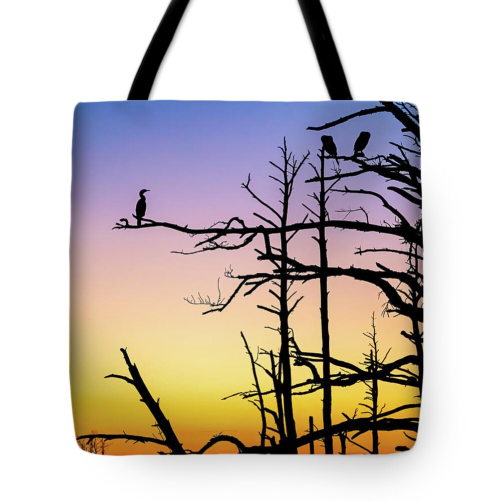 Chincoteague Tote Bag featuring the photograph Cormorant Sunset by Rachel Morrison