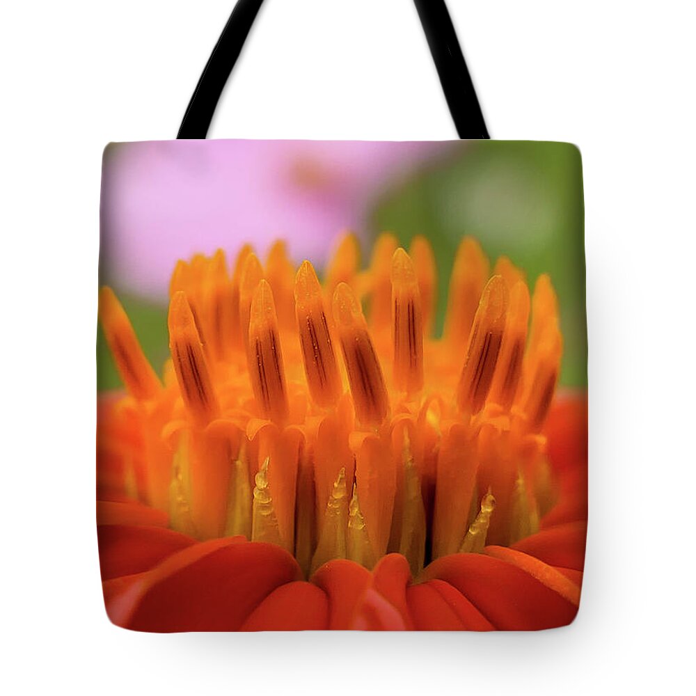 Closeup Tote Bag featuring the photograph Corn Flowers of August by Sandra J's