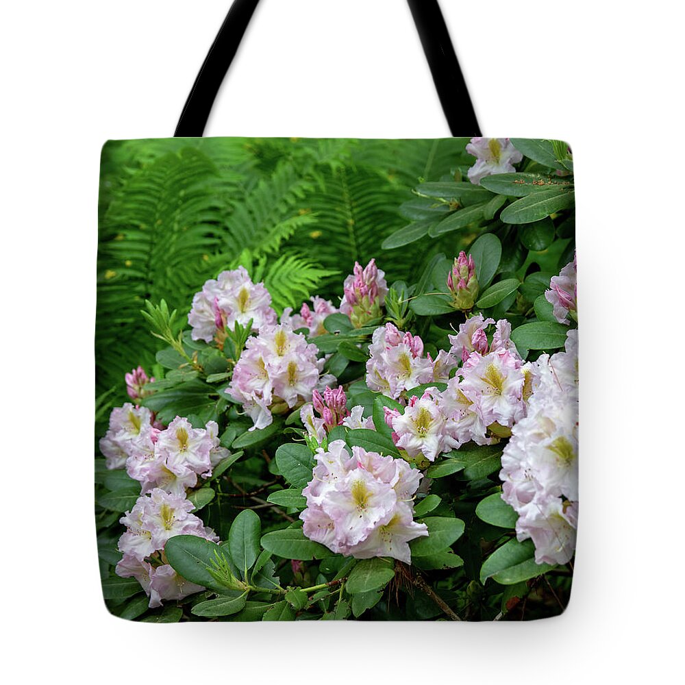 Cornell University Tote Bag featuring the photograph Cornell Botanic Gardens #2 by Mindy Musick King