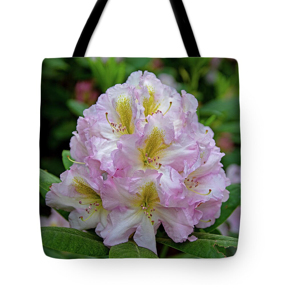 Cornell University Tote Bag featuring the photograph Cornell Botanic Gardens #3 by Mindy Musick King