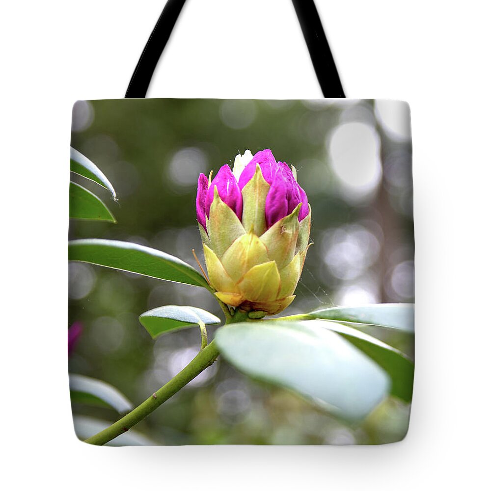 Rhododendron Tote Bag featuring the photograph Cornell Botanic Gardens #5 by Mindy Musick King