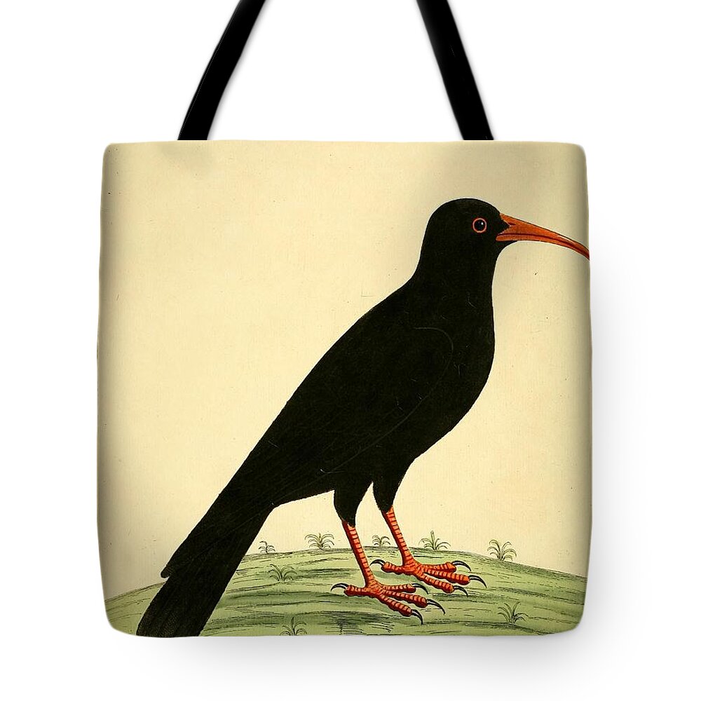John Tote Bag featuring the mixed media Cornish Chough by World Art Collective