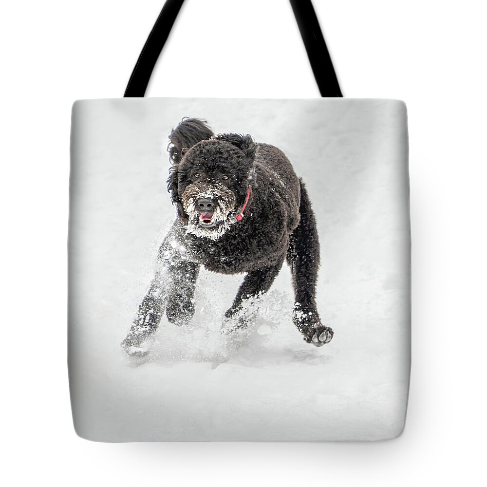 February Tote Bag featuring the photograph Cosmo Crazy by Dee Potter