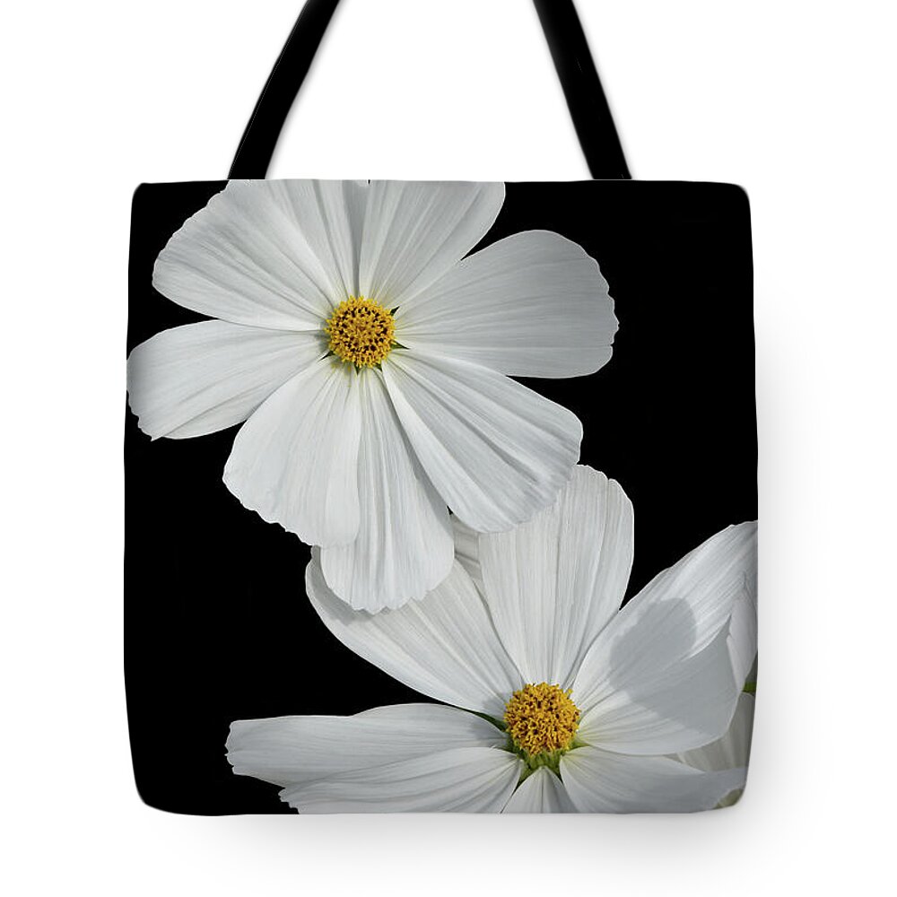 Flowers Tote Bag featuring the photograph Cosmos bipinnatus - White by Yvonne Johnstone