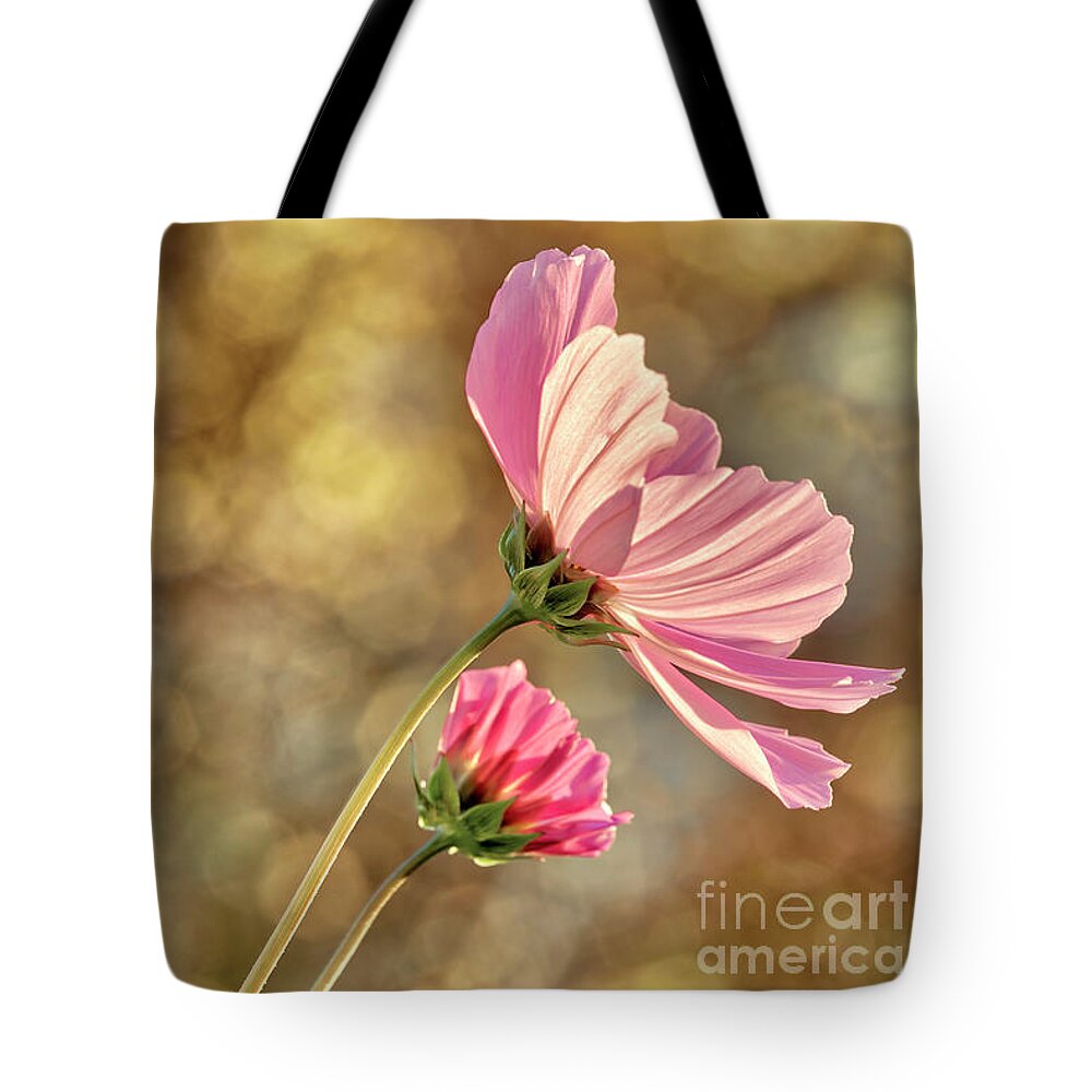 Nag006259 Tote Bag featuring the photograph Cosmos Flower by Edmund Nagele FRPS