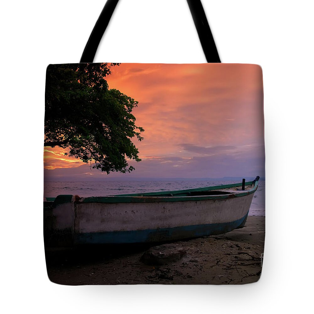 Beach Tote Bag featuring the photograph Costa Rica Boat by Ed Taylor