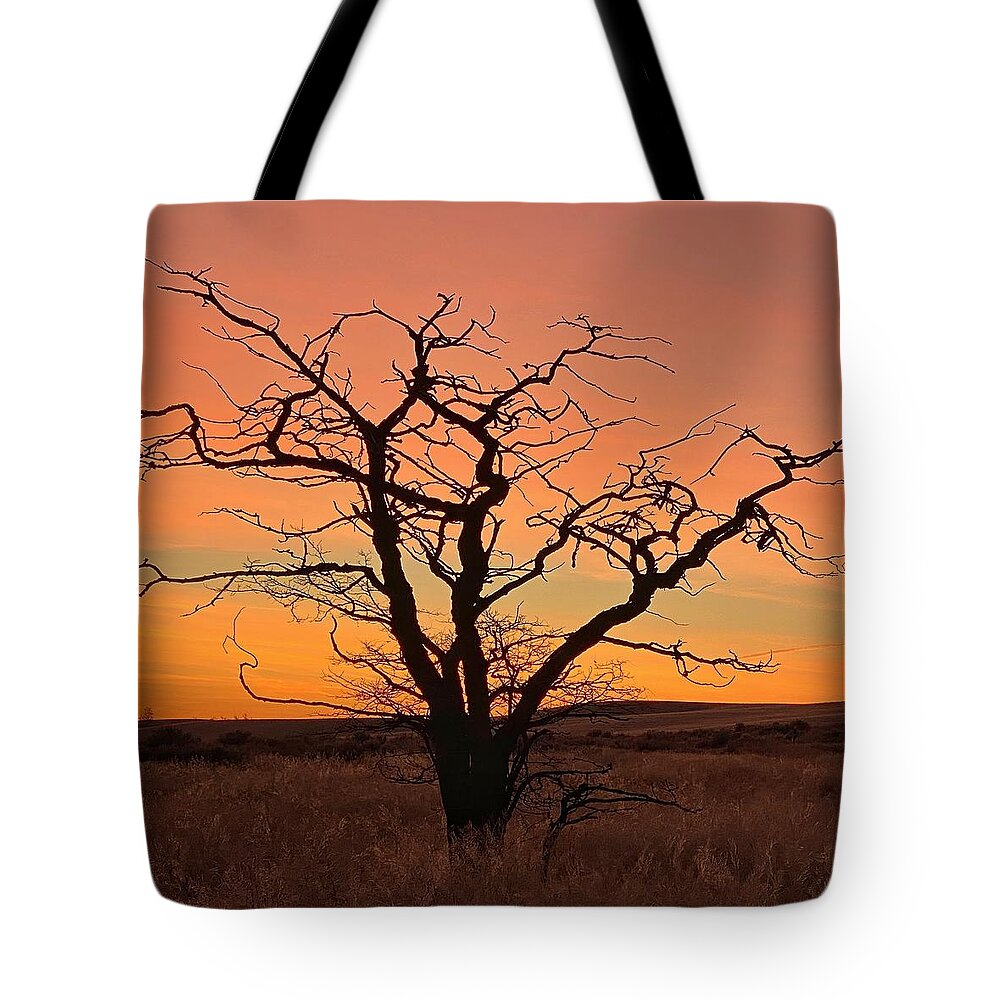 Sunrise Tote Bag featuring the photograph Country Sunrise by Jerry Abbott