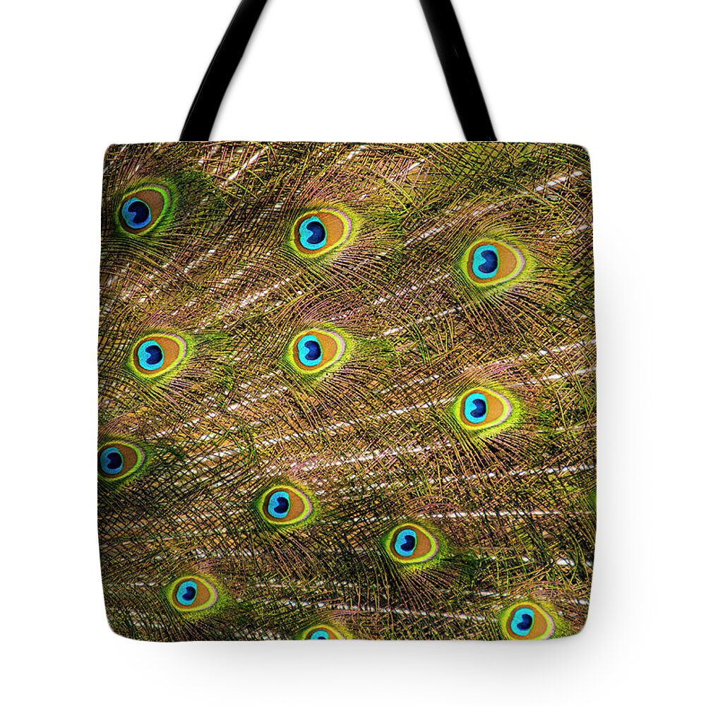 Greensboro Science Center Tote Bag featuring the photograph Courting by Melissa Southern
