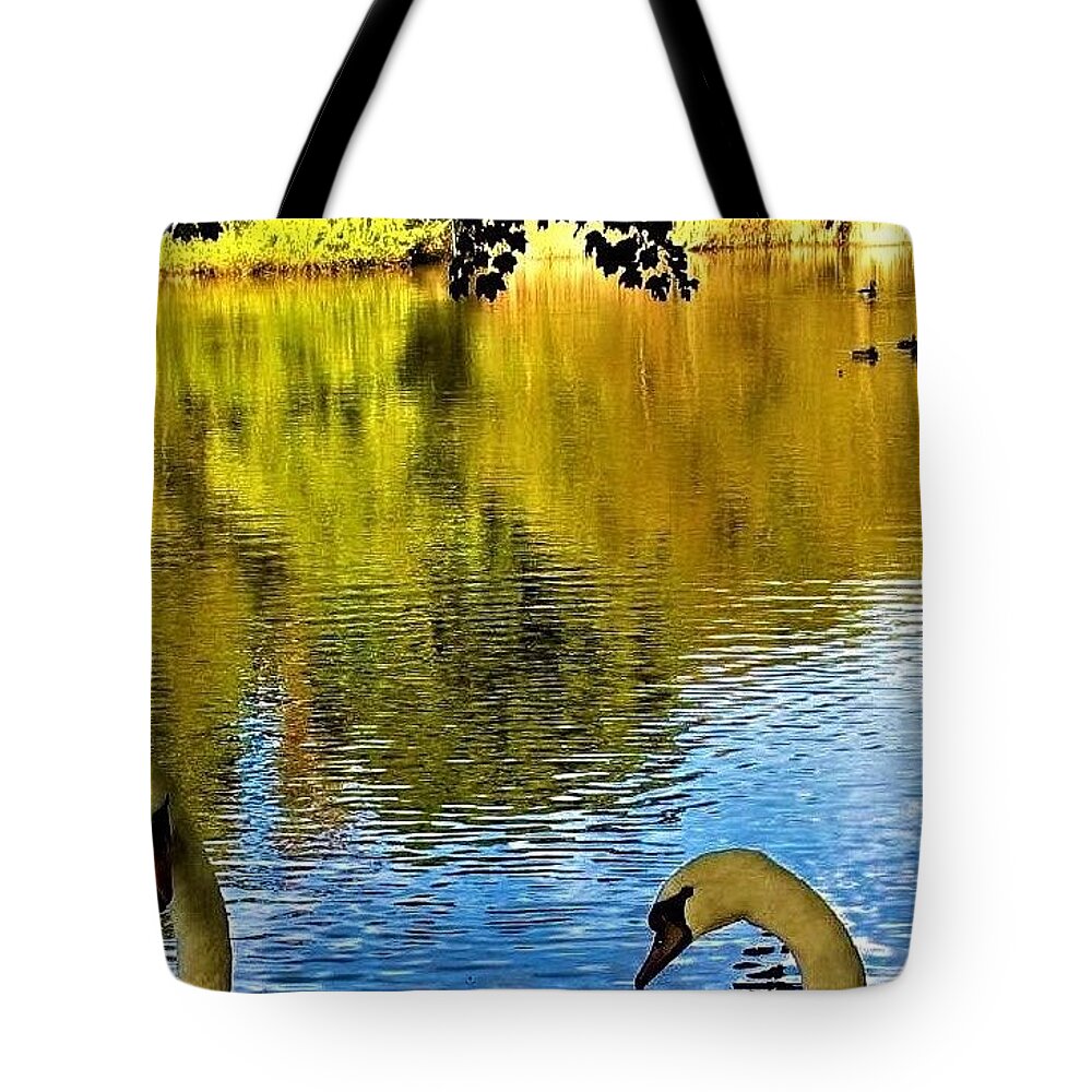 Swans Tote Bag featuring the photograph Courtship by Sandy Poore