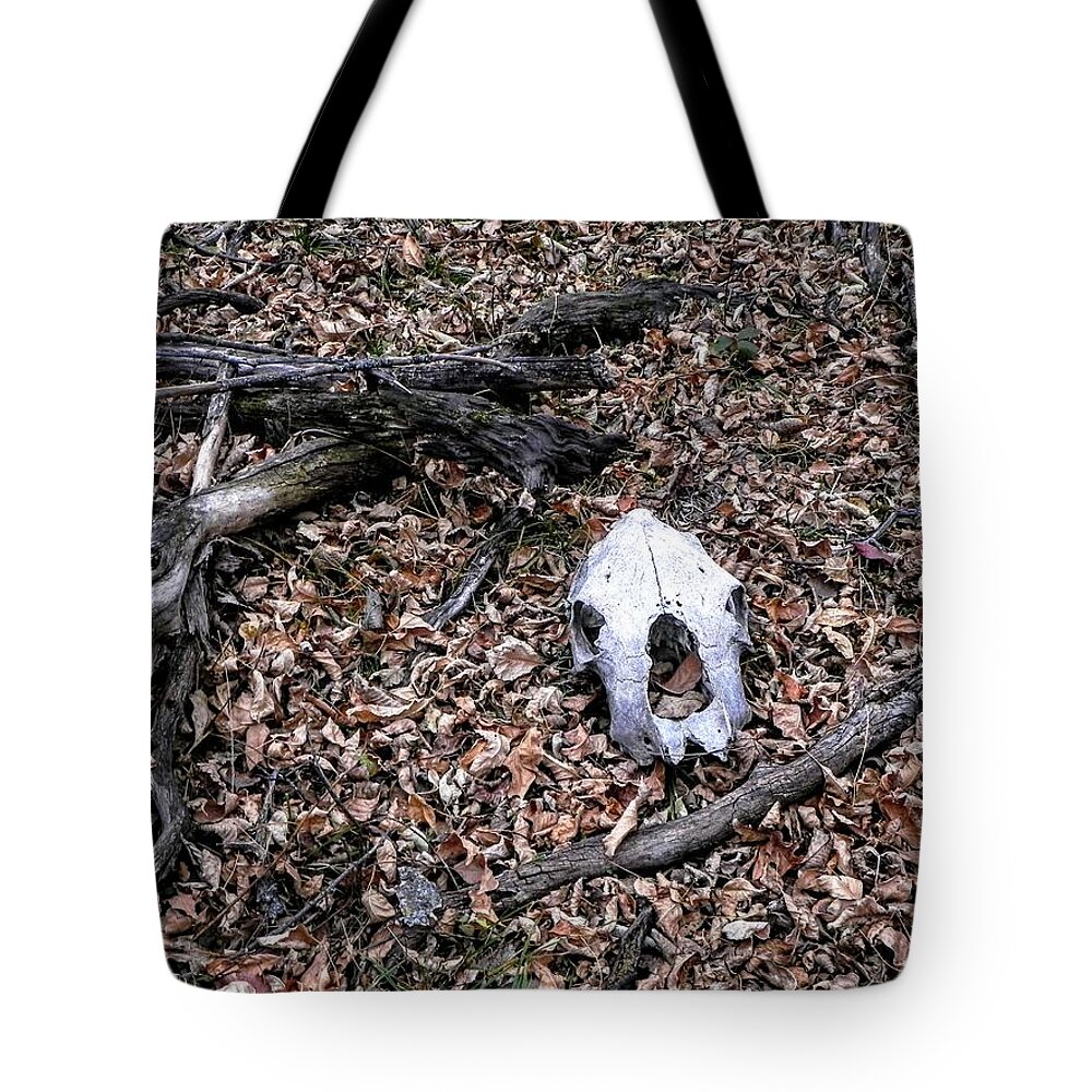 Skull Tote Bag featuring the photograph Cow Skull by Amanda R Wright