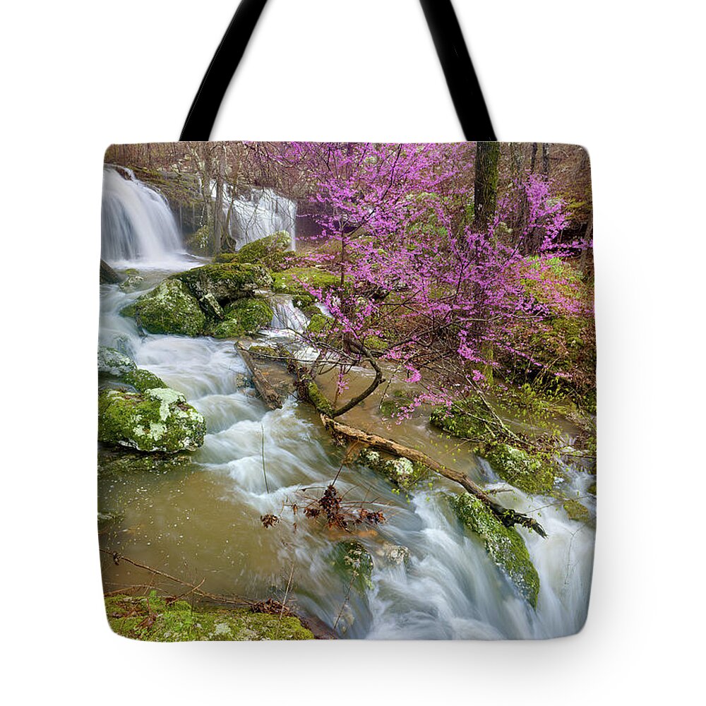 Spring Tote Bag featuring the photograph Coward's Hollow Shut-ins II by Robert Charity