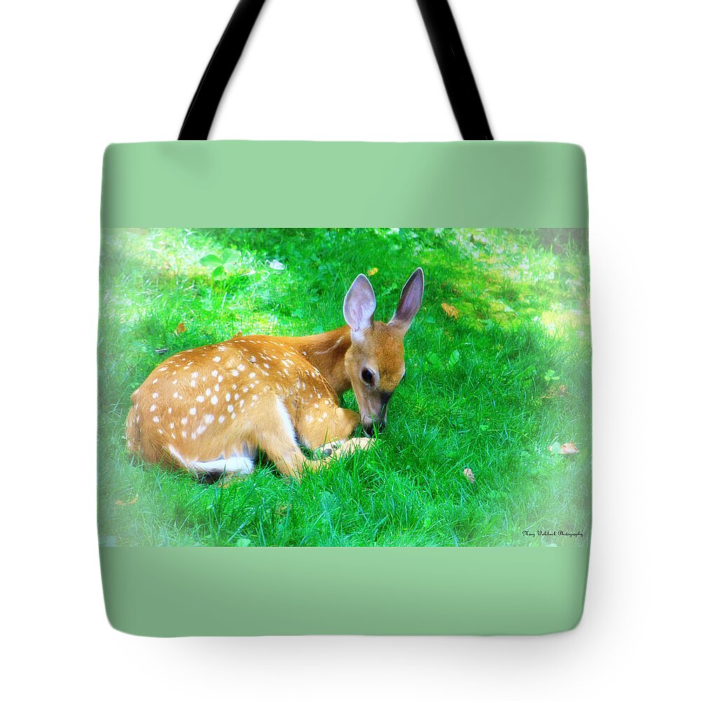 Nature Wildlife Fawn Tote Bag featuring the photograph Cozy Fawn by Mary Walchuck