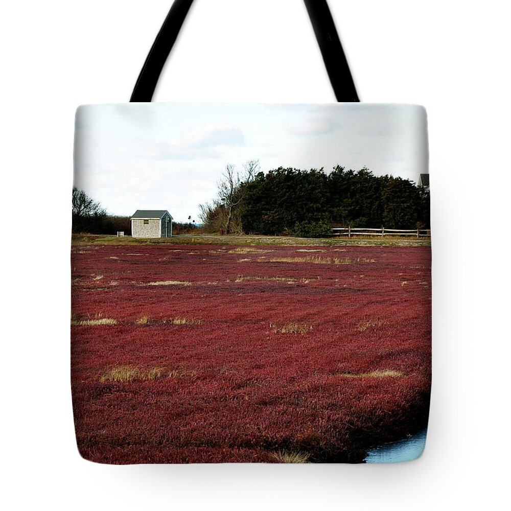 Cranberry Blog Tote Bag featuring the photograph Cranberry Bliss by Sue Morris