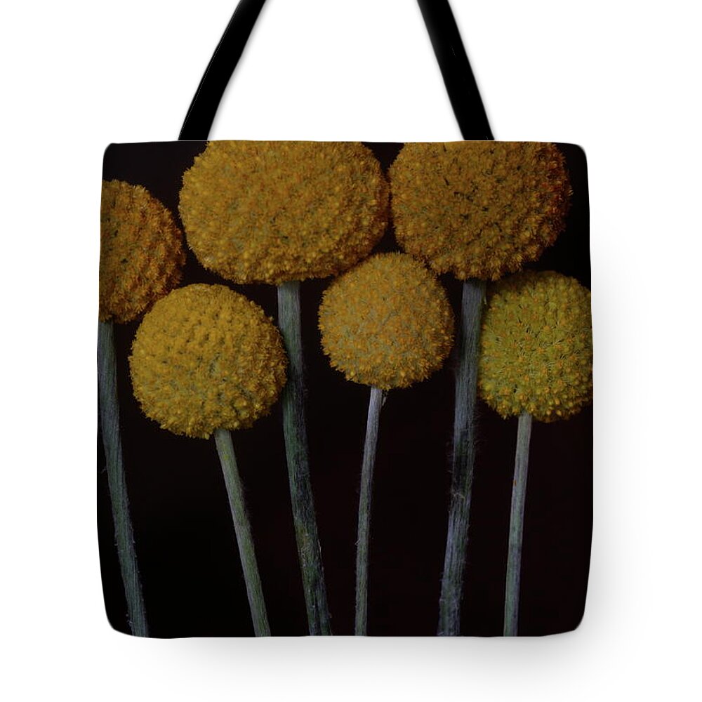 Macro Tote Bag featuring the photograph Craspedia 4268 by Julie Powell