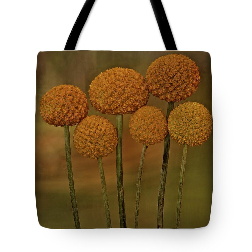 Botanical Tote Bag featuring the photograph Craspedia 4310 by Julie Powell